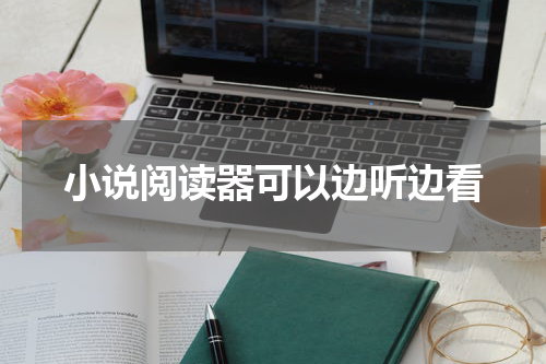 小说阅读器可以边听边看