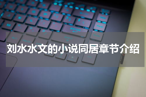刘水水文的小说同居章节介绍