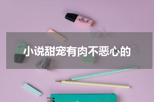 小说甜宠有肉不恶心的