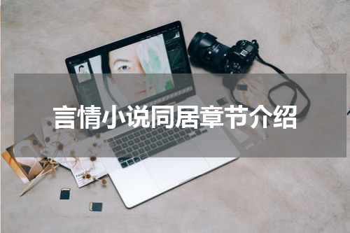 言情小说同居章节介绍