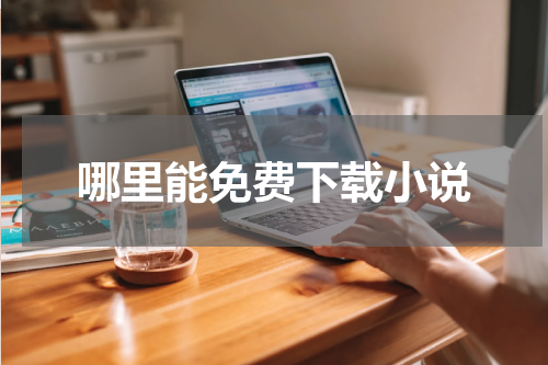 哪里能免费下载小说