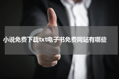 小说免费下载txt电子书免费网站有哪些