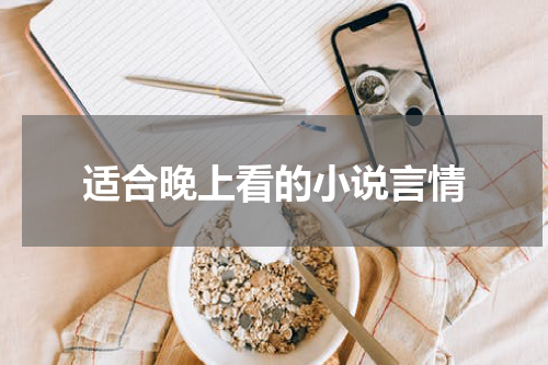 适合晚上看的小说言情