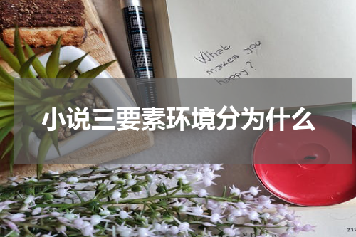 小说三要素环境分为什么