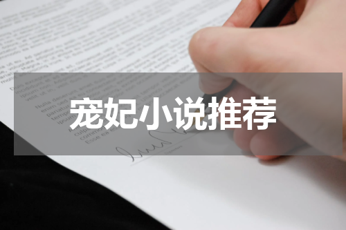 宠妃小说推荐