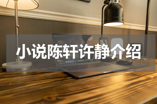 小说陈轩许静介绍