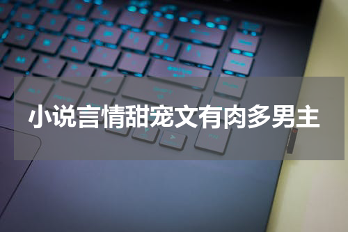 小说言情甜宠文有肉多男主