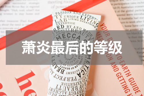 萧炎最后的等级