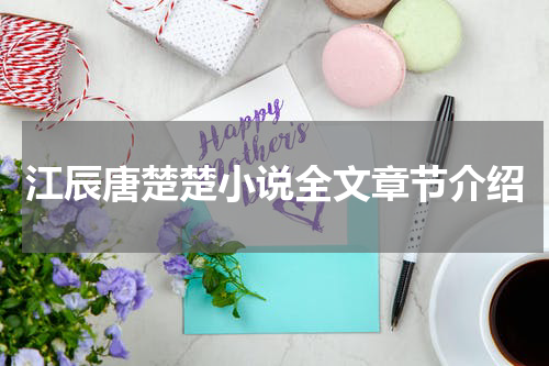 江辰唐楚楚小说全文章节介绍