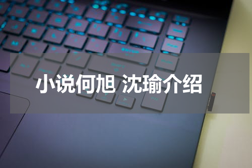 小说何旭 沈瑜介绍