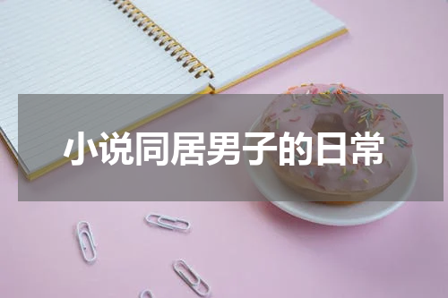 小说同居男子的日常