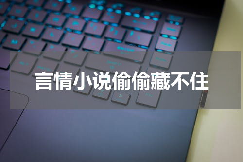 言情小说偷偷藏不住