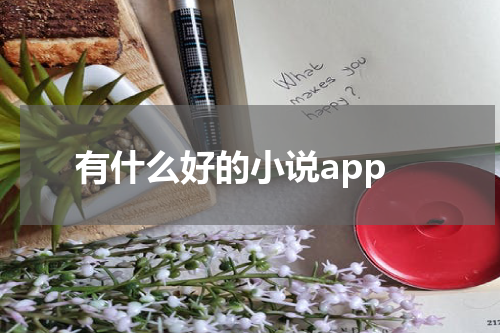 有什么好的小说app