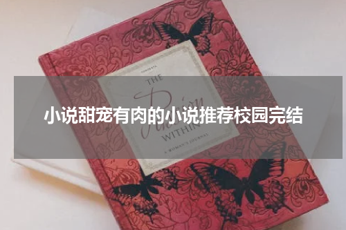 小说甜宠有肉的小说推荐校园完结