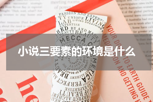 小说三要素的环境是什么