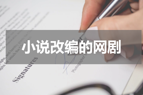 小说改编的网剧