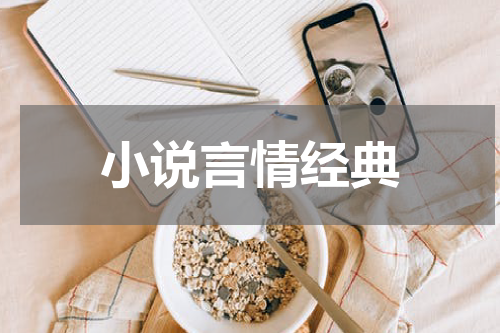小说言情经典