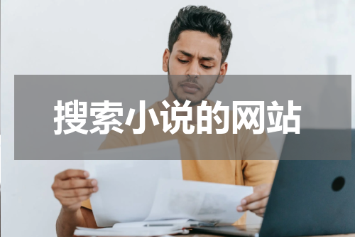 搜索小说的网站