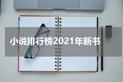 小说排行榜2021年新书