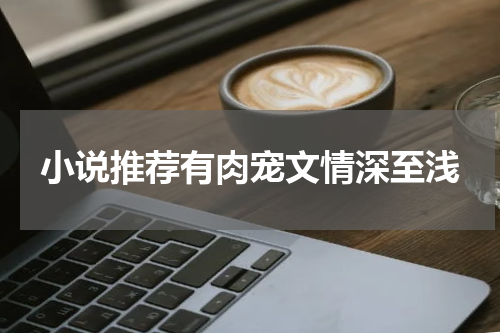 小说推荐有肉宠文情深至浅