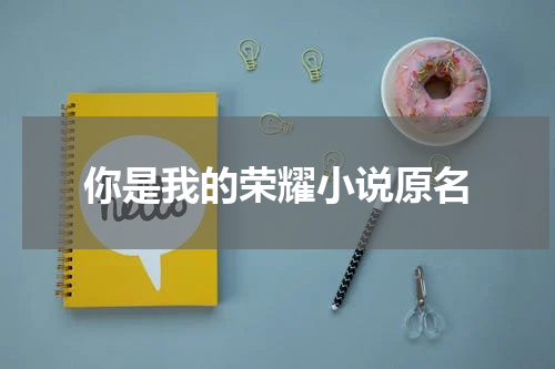 你是我的荣耀小说原名