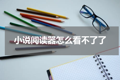 小说阅读器怎么看不了了