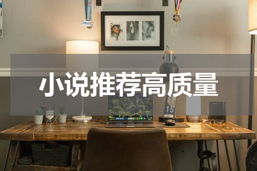 小说推荐高质量