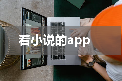 看小说的app