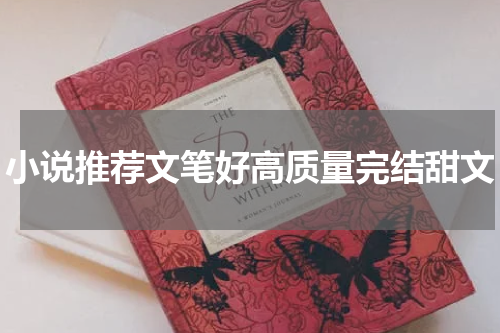 小说推荐文笔好高质量完结甜文