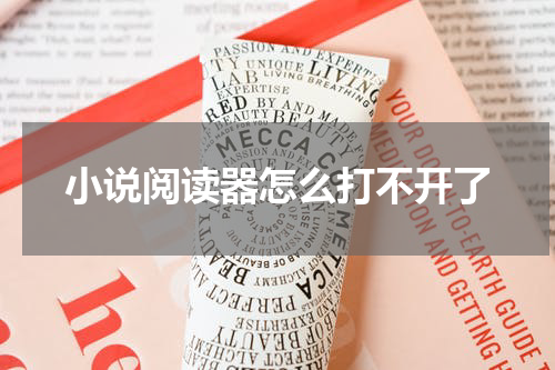 小说阅读器怎么打不开了