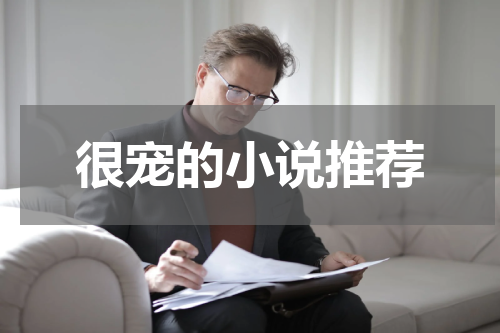 很宠的小说推荐
