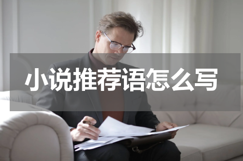 小说推荐语怎么写