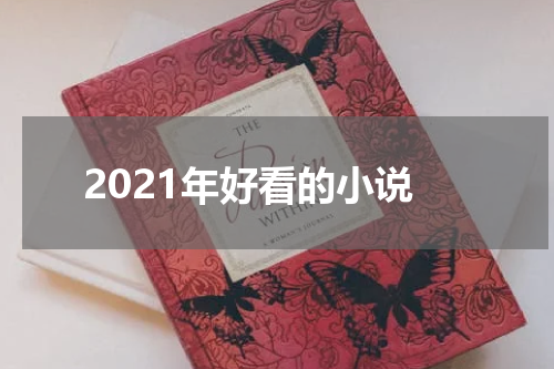 2021年好看的小说