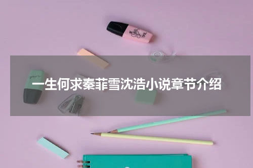 一生何求秦菲雪沈浩小说章节介绍