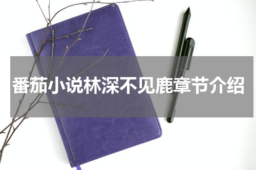 番茄小说林深不见鹿章节介绍