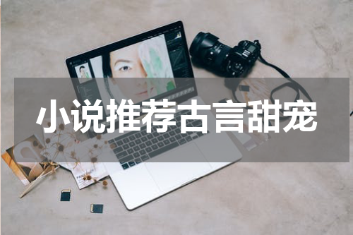小说推荐古言甜宠