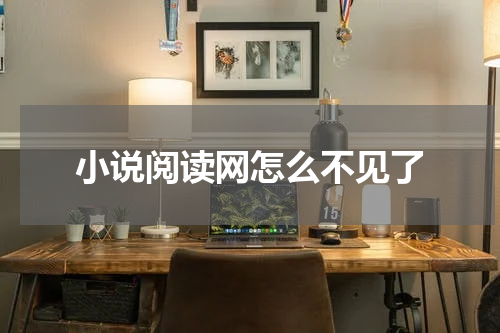 小说阅读网怎么不见了