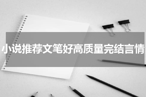 小说推荐文笔好高质量完结言情
