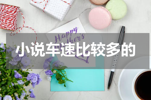 小说车速比较多的