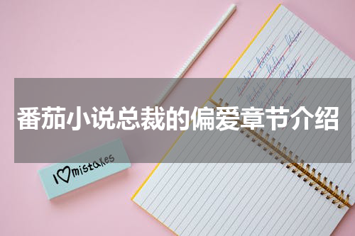 番茄小说总裁的偏爱章节介绍