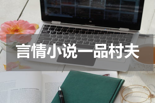 言情小说一品村夫