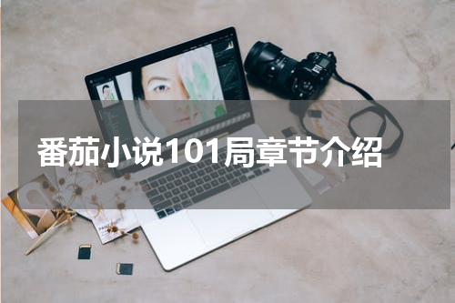 番茄小说101局章节介绍
