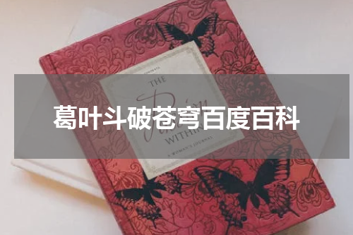 葛叶斗破苍穹百度百科