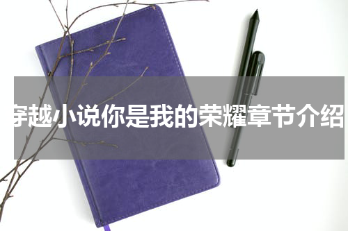 穿越小说你是我的荣耀章节介绍