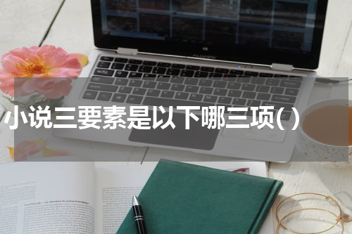 小说三要素是以下哪三项( )