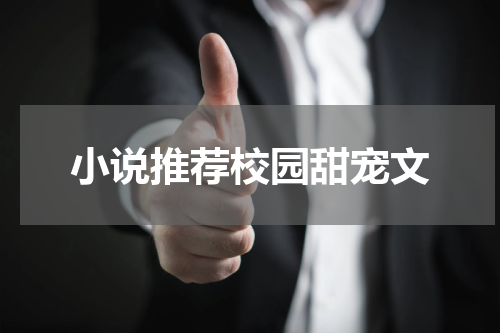 小说推荐校园甜宠文