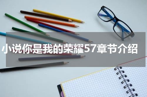 小说你是我的荣耀57章节介绍