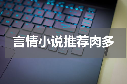 言情小说推荐肉多