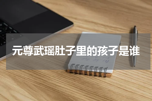 元尊武瑶肚子里的孩子是谁