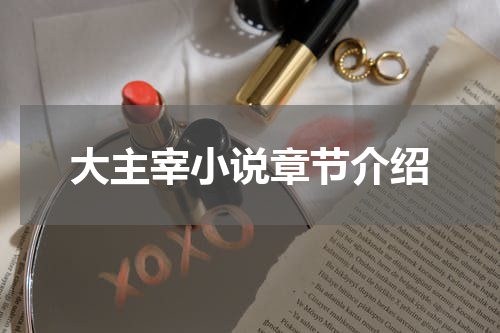 大主宰小说章节介绍